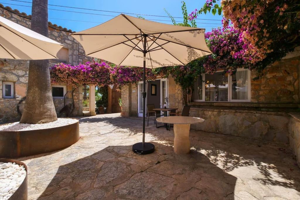 Apartment Copet, Stilvoll Und Ruhig,xxl Pool,daybeds,wifi,klima
